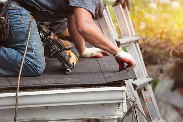 Best Gutter Installation and Roofing  in Pikeville, TN